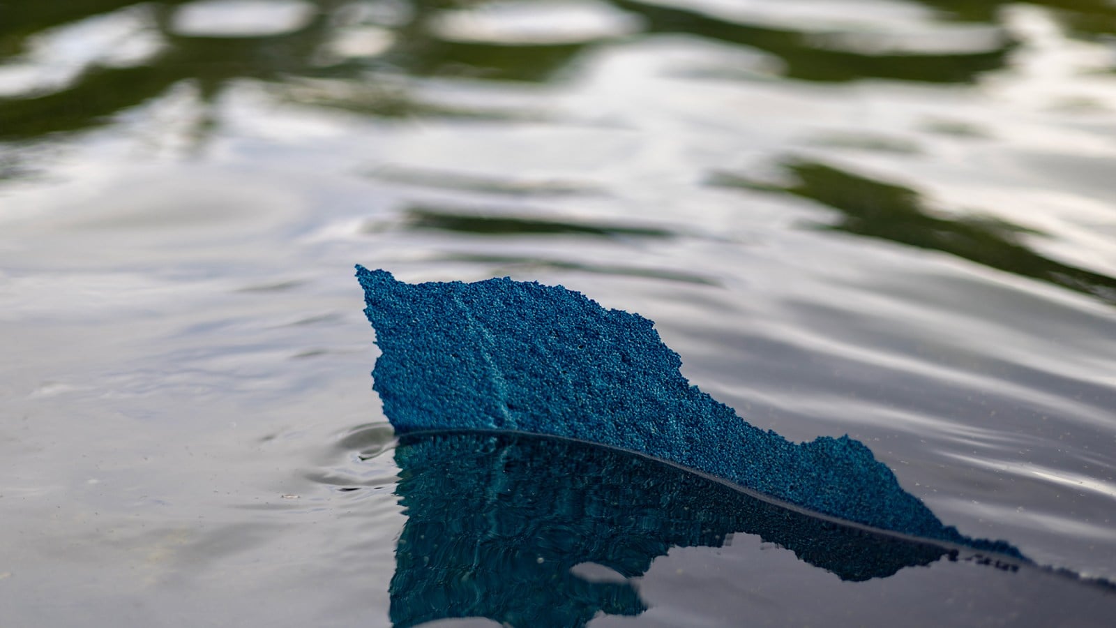 Reflecting Pool