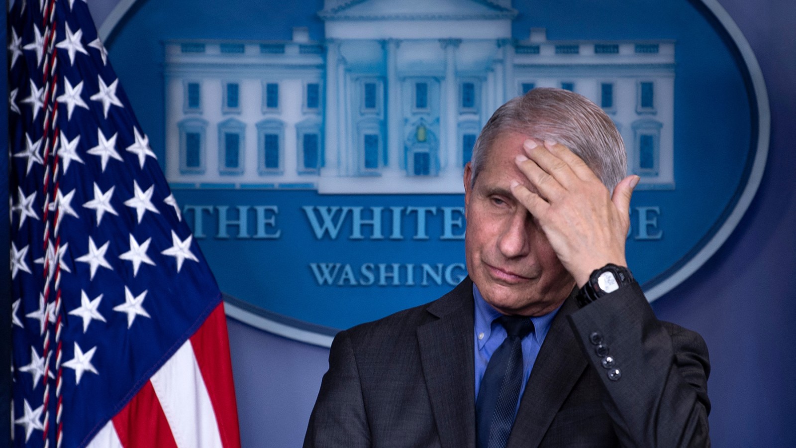 Anthony Fauci during a press conference