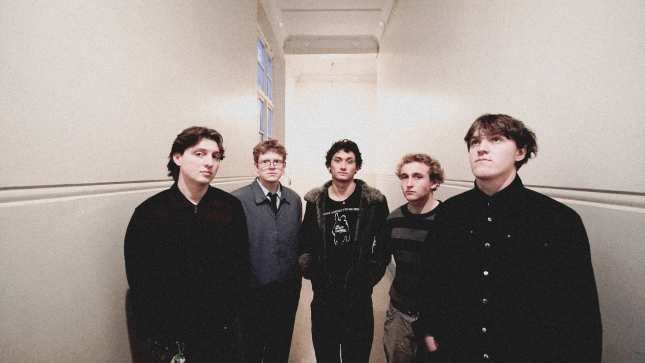IVY press shot