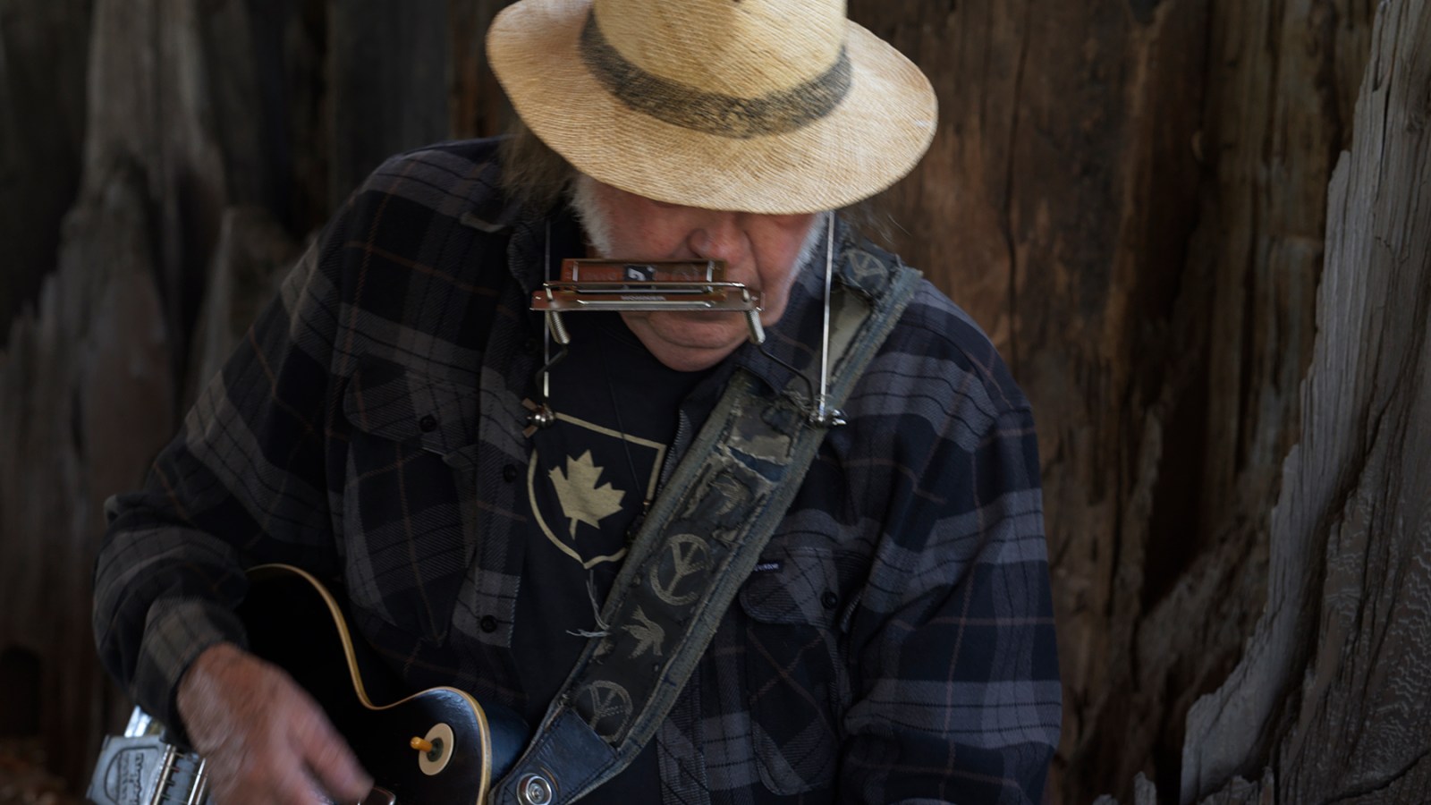 Neil Young