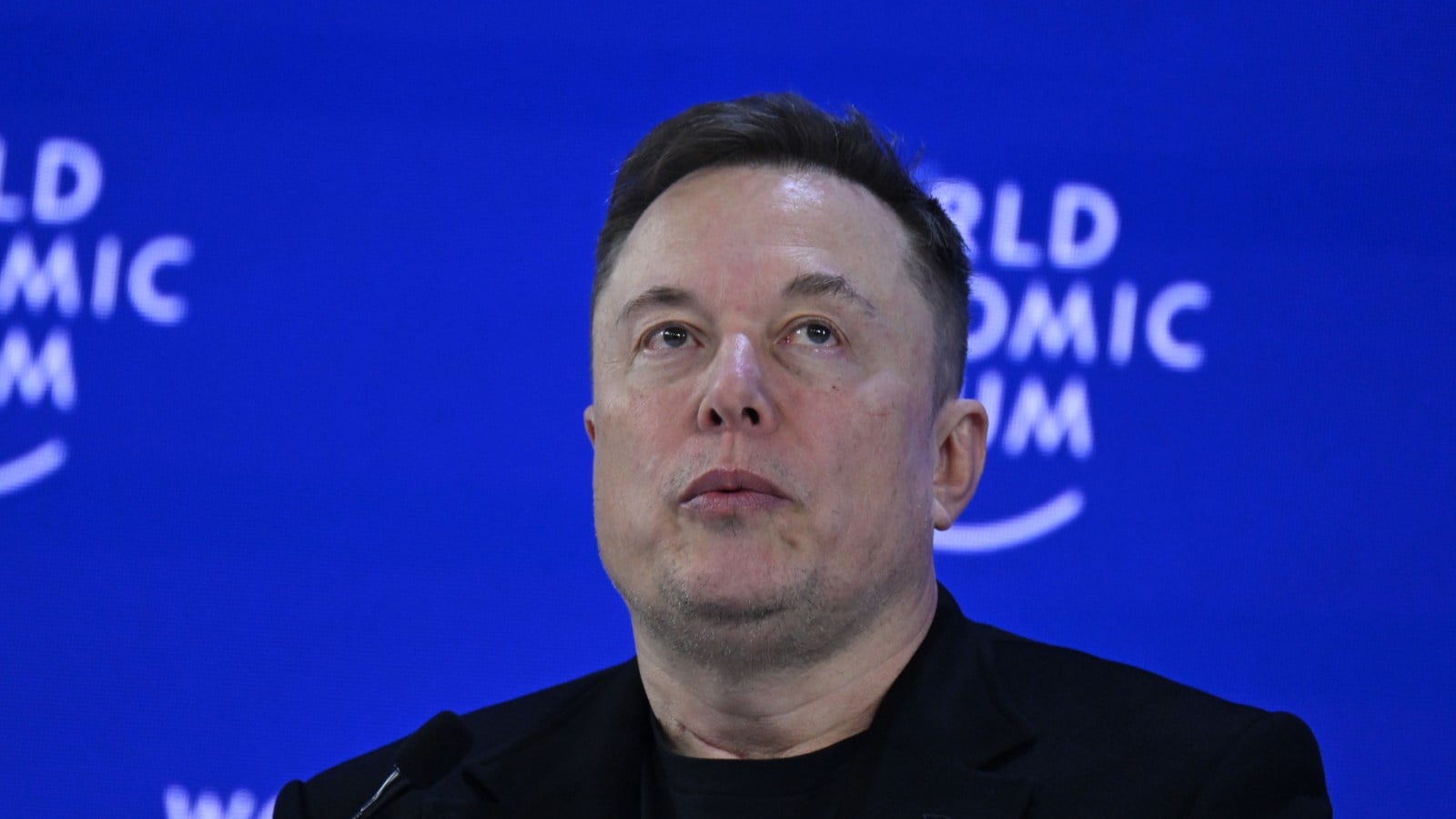 Musk