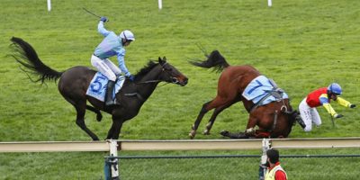 Image of horse racing at the Melbourne Cup