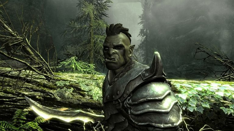 A screenshot from 'The Elder Scrolls V: Skyrim'