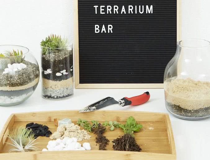 terrariums and wine