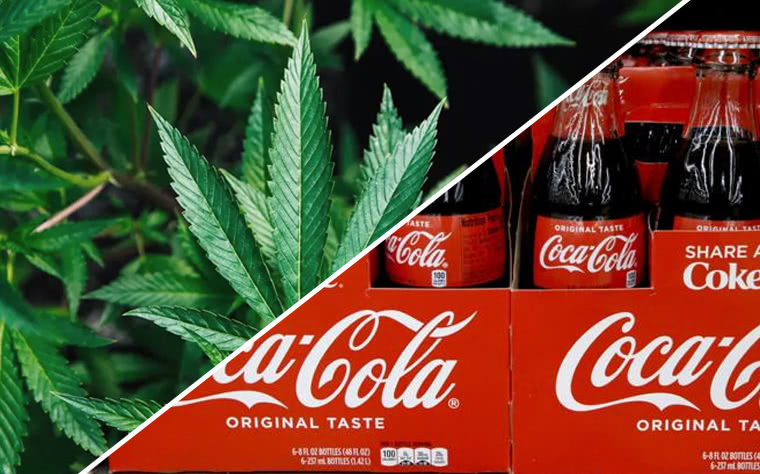 Coca-Cola may introduce a cannabis-infused health drink in the future