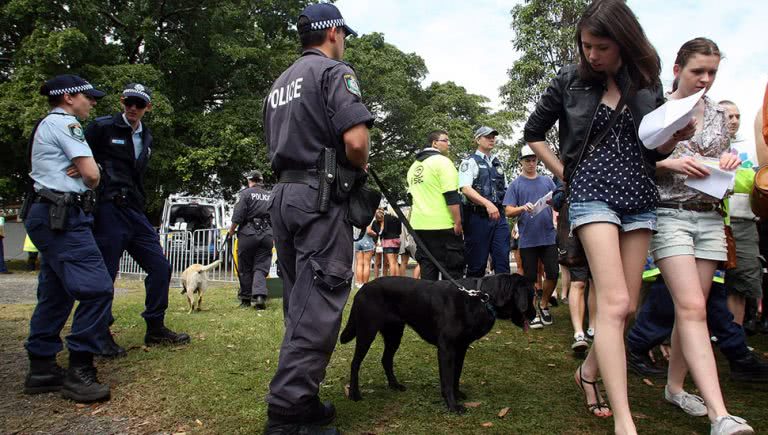 Photo of NSW Police at a music festival
