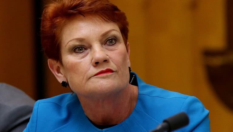 Pauline Hanson is launching a cartoon series in the mould of 'South Park'
