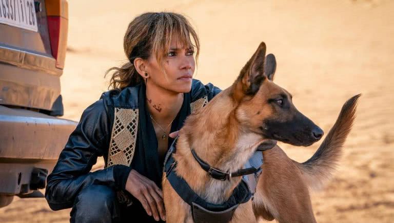 Halle Berry gutted no Black woman has won Best Actress Oscar since her