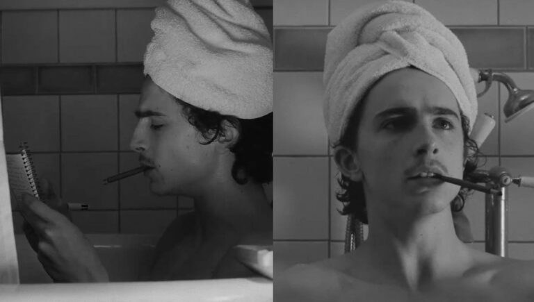 timothee chalamet the french dispatch