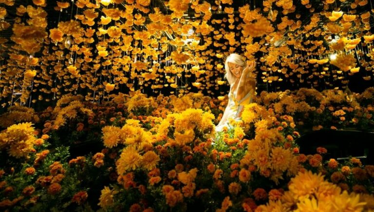 Happy Place, ‘The world’s most Instagrammable exhibit,' is heading to Melbourne