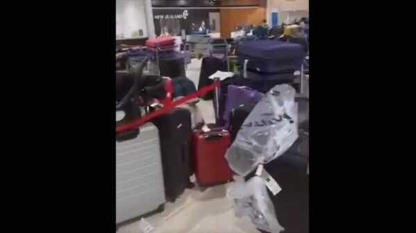Auckland airport baggage video 