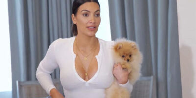 PETA is "hoping hard" Kim K's dogs don't live in garage after deleted TikTok