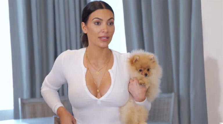 PETA is "hoping hard" Kim K's dogs don't live in garage after deleted TikTok