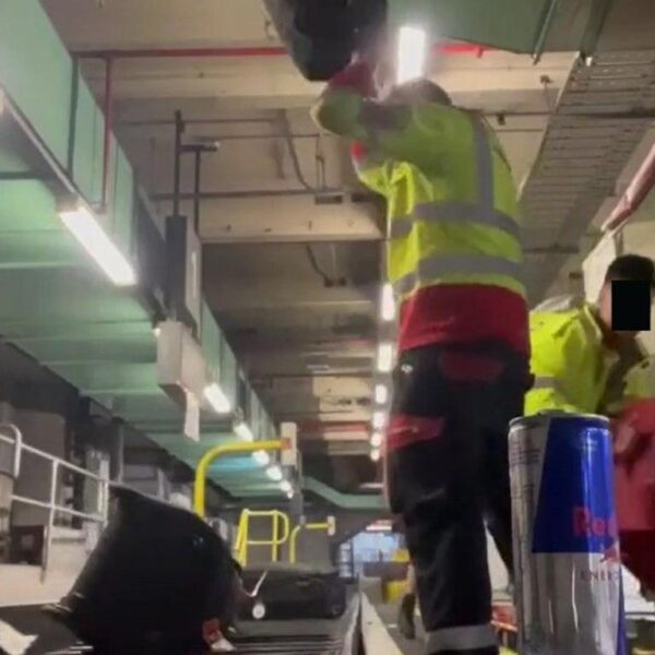 Staff was seen slamming luggage onto a conveyor belt. Source: @rexross79 on Tiktok