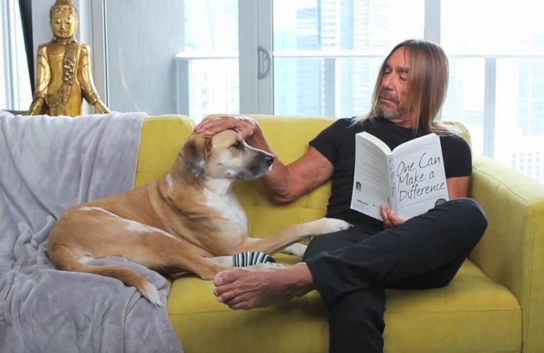 Iggy Pop patting a dog on a couch