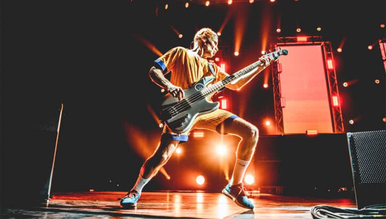 Image of Red hot Chili Peppers bassist Flea