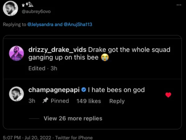 Drake hates bees