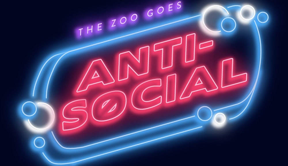 The Zoo announce ‘Anti-Social’ physical distancing concert series