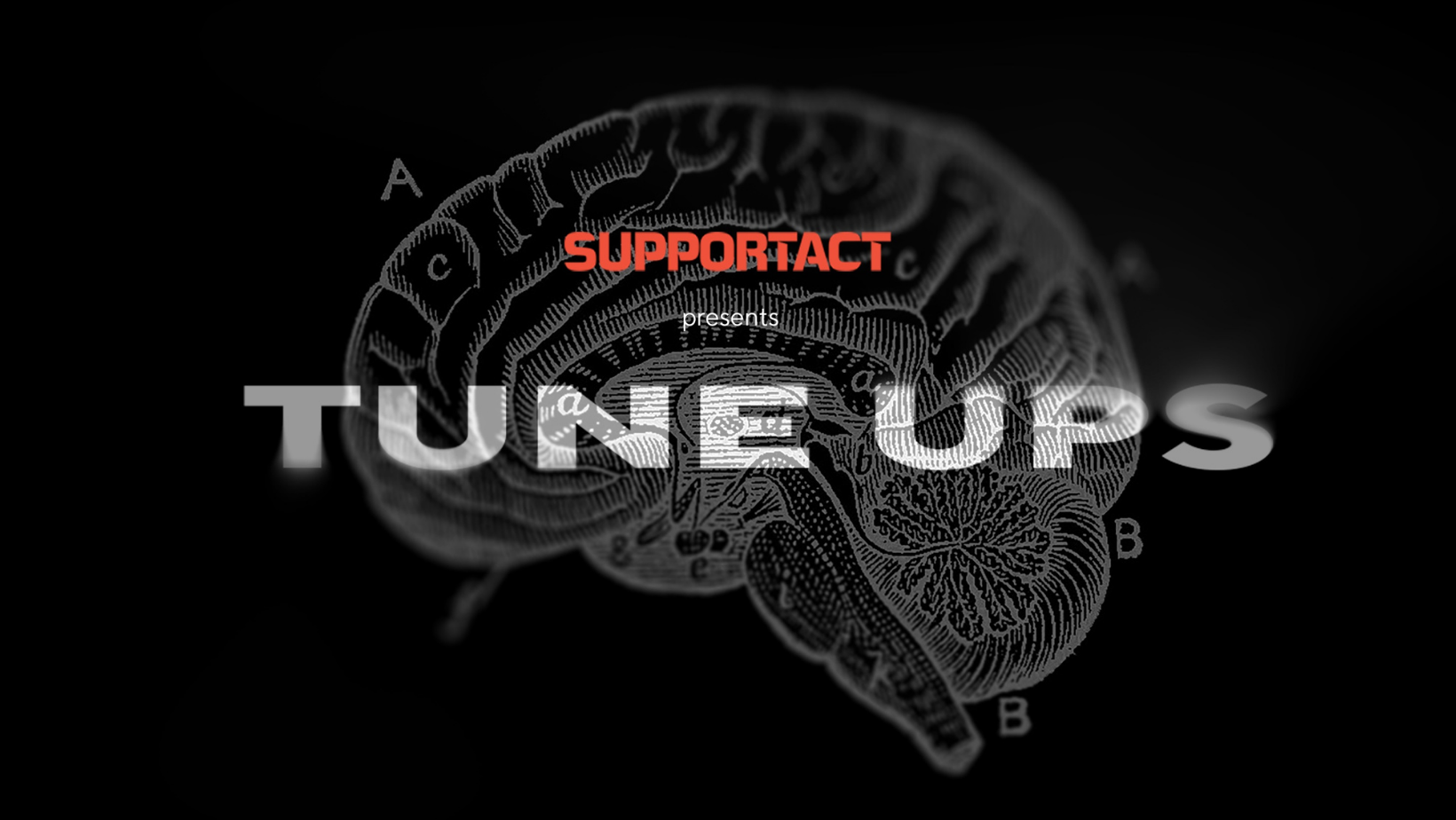 Music industry talks mental health in Support Act’s Tune Ups series