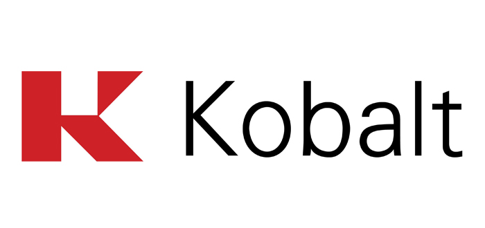 Kobalt Portal offers access to real time economic transactions