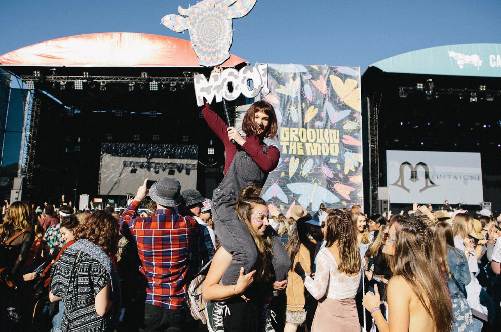 Groovin’ The Moo “frustrated” over pill testing moves