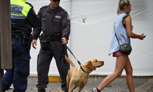 Report: six people refused entry to Above and Beyond, sniffer dog backlash continues