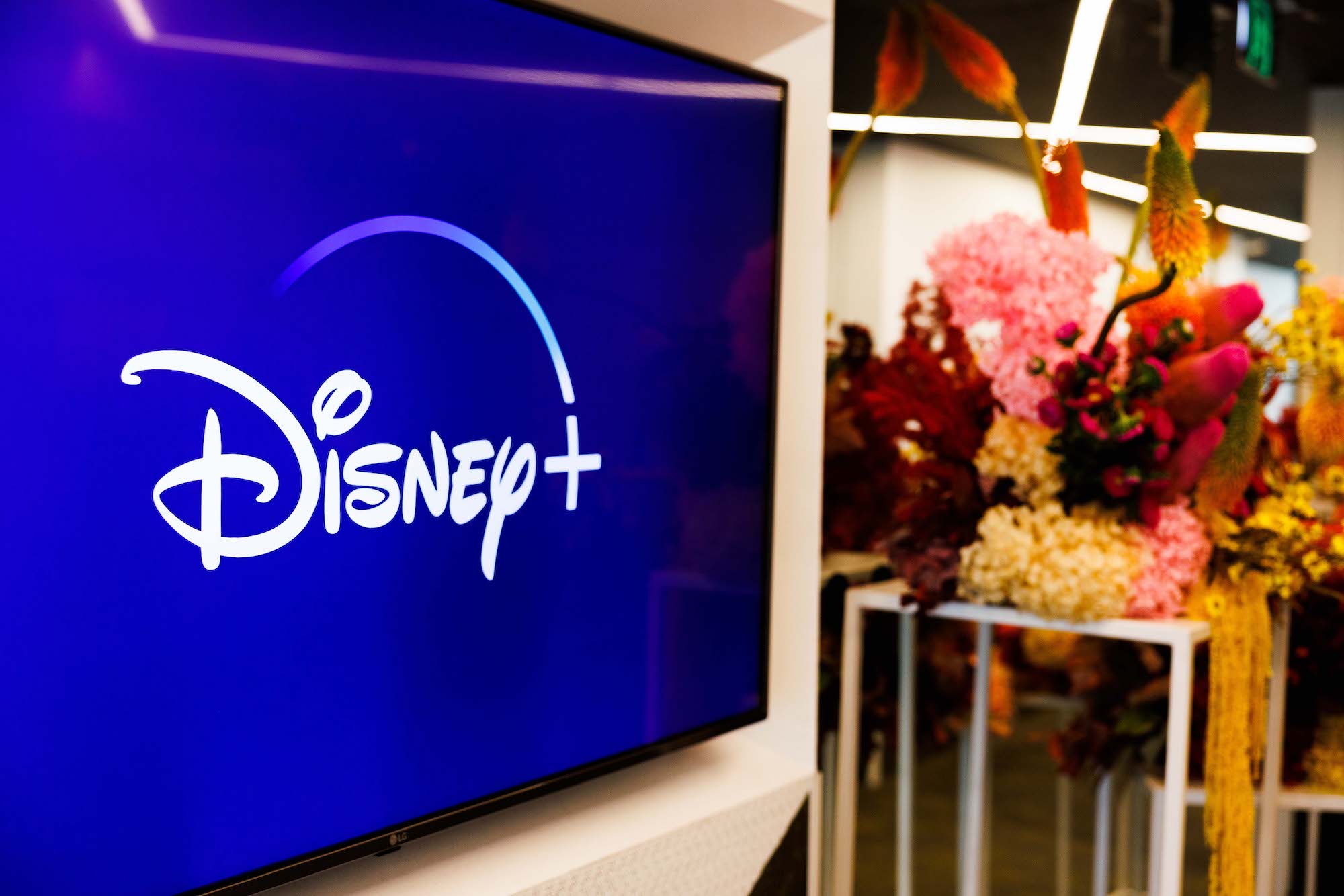 Disney Plus invests in Australian content