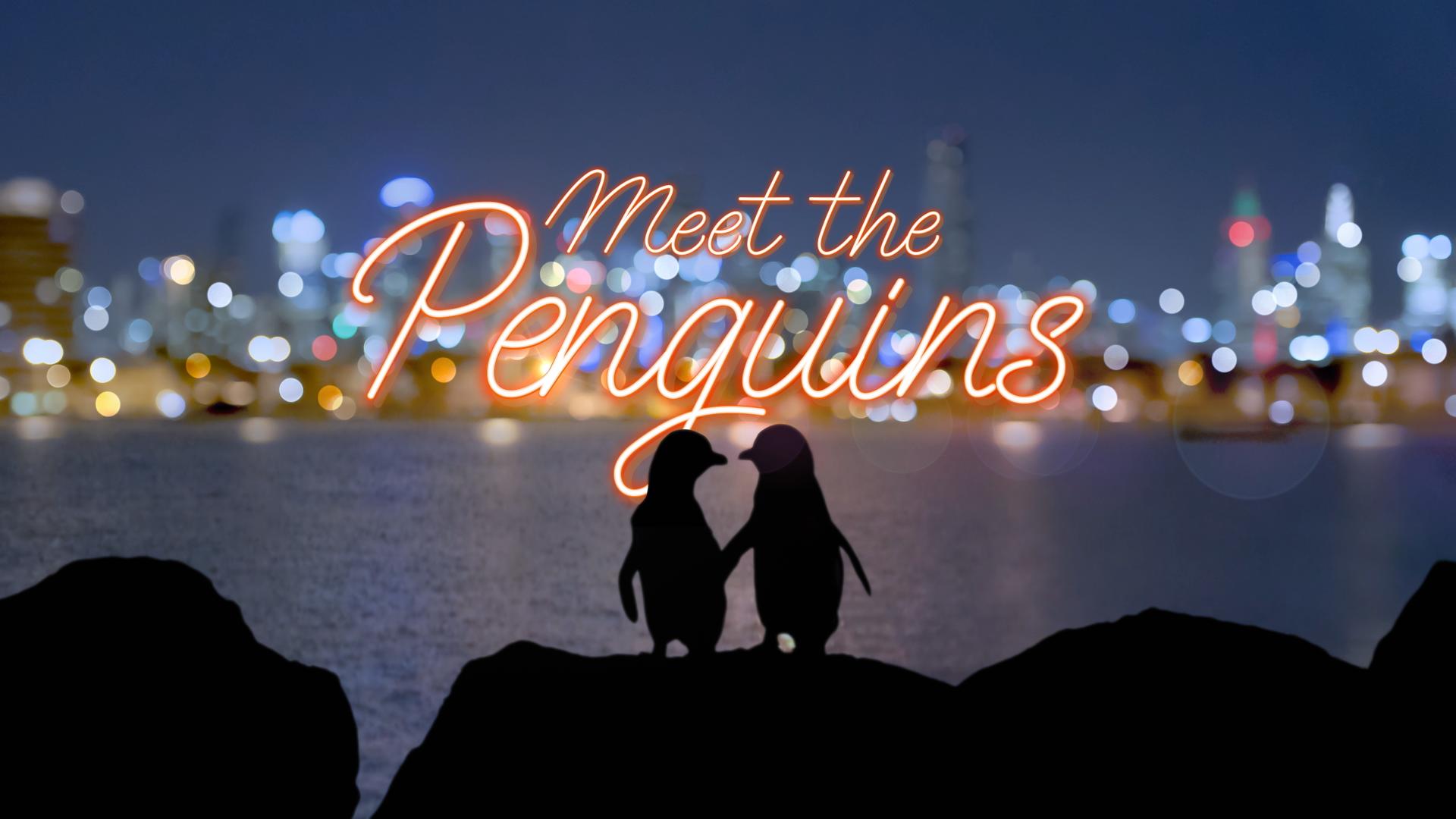 Meet the Penguins on ABC TV